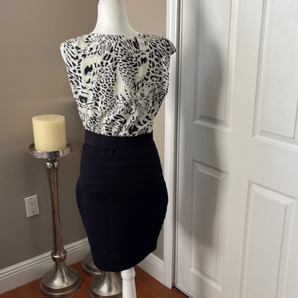 Express Dress - Picture 3 of 6